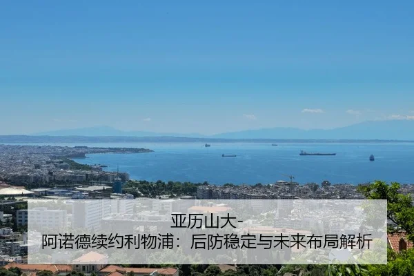 ya-li-shan-da-a-nuo-de-xu-yue-li-wu-pu-hou-fang-wen-ding-yu-wei-lai-bu-ju-jie-xi-2-438.jpg